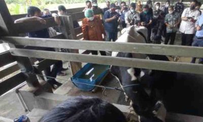 Gubernur dan Bupati Kutim Kunjungi Pesat