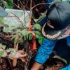 Pemkab Kutim Tanam 50 Pohon Saat Hari Lingkungan Hidup